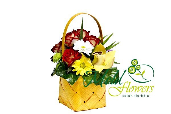 Yellow basket with red roses, yellow cymbidium orchid, green and yellow chrysanthemums photo