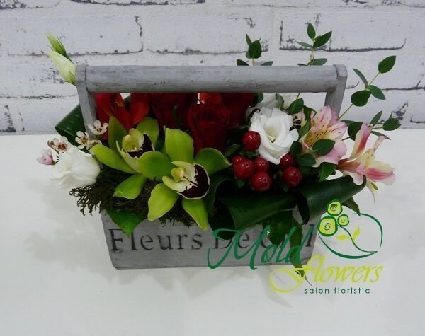 Box with green orchids, red roses and hypericum, white eustomas, pink alstromeria photo