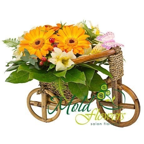 Композиция- велосипед из желтых гербер, альстромерий, красного гиперикума с розовой и фиолетовой бабочками фото