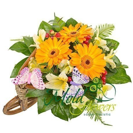 Composition - bicycle of yellow gerberas, alstromeria, red hypericum with pink and purple butterflies photo