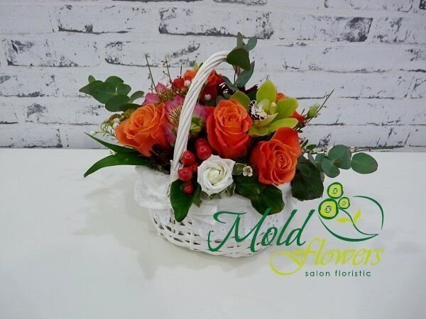 White basket with orange roses, pink alstromeria, green orchid, white roses and red hypericum photo
