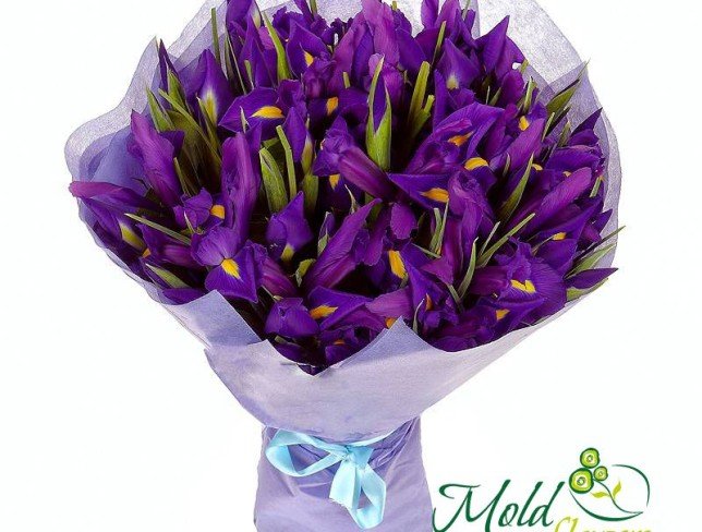 A bouquet of irises photo
