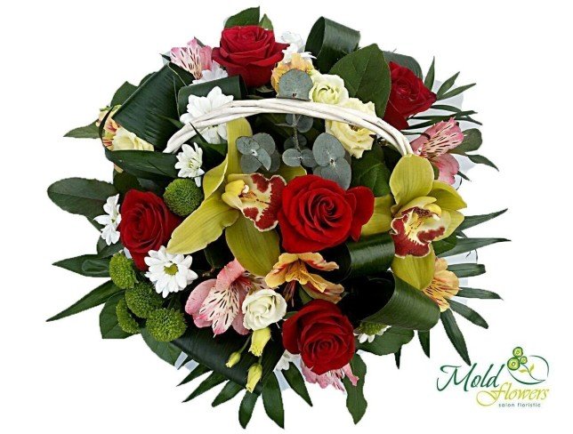 Корзина с красными розами, зелеными орхидеями, хризантемами, желтыми и розовыми альстромериями, белыми розами  и хризантемами фото