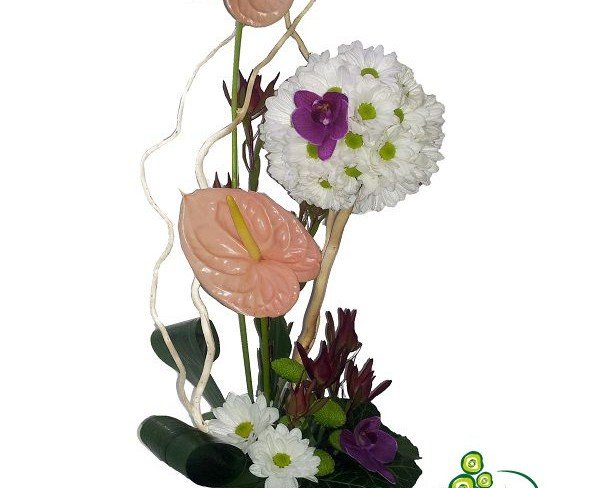 Композиция из белых хризантем, фиолетовых орхидей фаленопсис и кремового антуриума фото