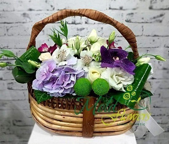 Basket with white roses, alstromeria, pink alstromeria, purple hydrangeas, orchid and green chrysanthemums photo