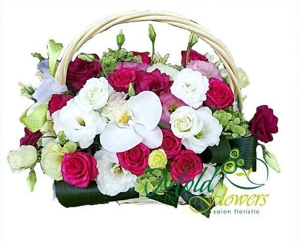 Basket with white roses, orchids, eustomas, pink roses, eustomas, green hydrangeas, aspidistra photo
