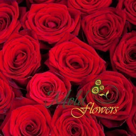 Beautiful red rose heart arrangement photo
