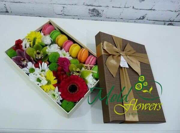 Brown box with macaroons, gerbera, roses, eustomas, orchids and chrysanthemums photo