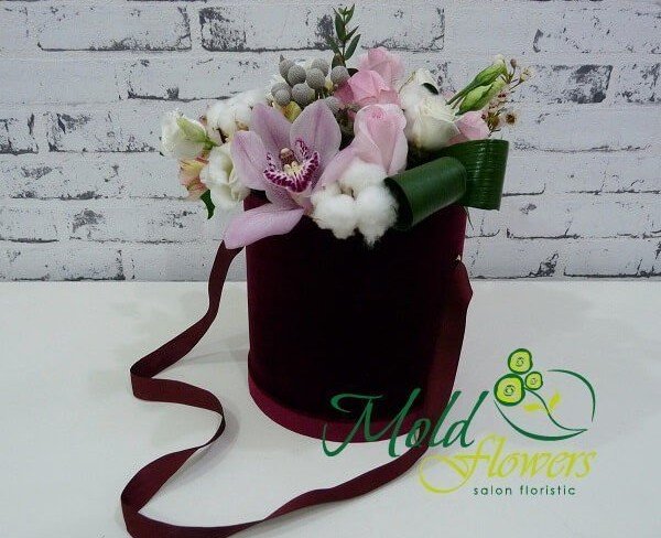 Бордовая коробка с розовыми и белыми розами, белыми эустомами, розовой орхидеей, цветами хлопка, аспидистрой, брунией  фото