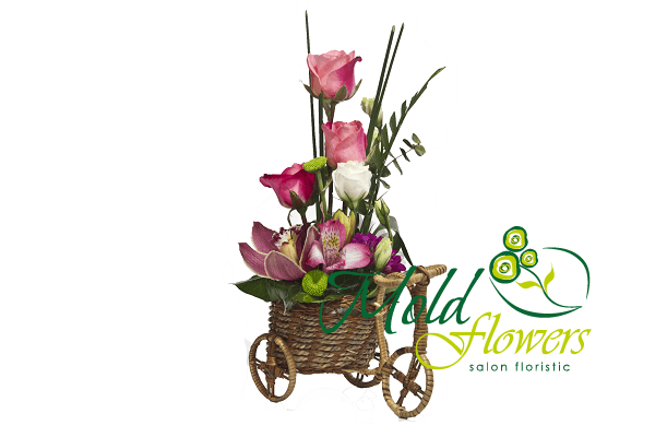 Композиция- велосипед из розовых роз, орхидей, альстромерий, зеленых и фиолетовых хризантем фото
