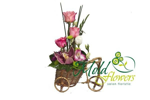 Композиция- велосипед из розовых роз, орхидей, альстромерий, зеленых и фиолетовых хризантем фото
