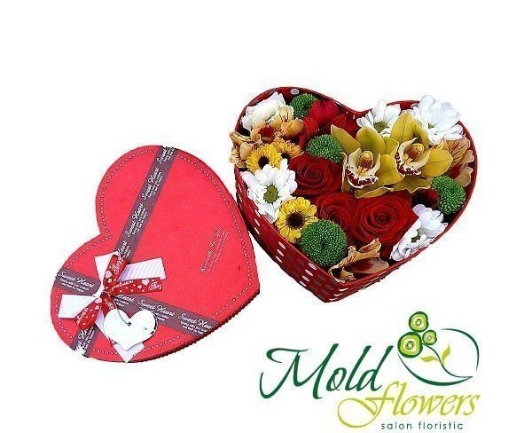 Red heart box with red roses, yellow orchids, yellow and pink alstromeria, white and green chrysanthemums photo