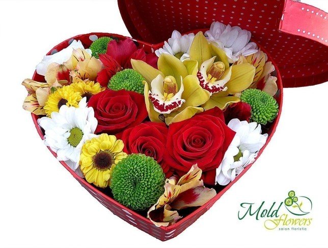 Red heart box with red roses, yellow orchids, yellow and pink alstromeria, white and green chrysanthemums photo