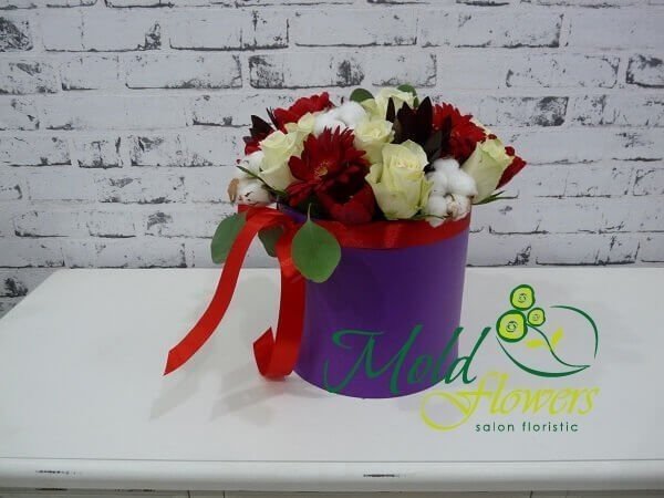 Фиолетовая коробка с красными герберами,тюльпанами, белыми розами, цветками хлопка, леукодендроном с красной лентой фото