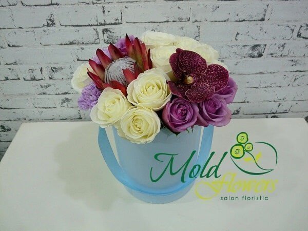 Blue box with protea, white and purple roses, burgundy Wanda orchid, purple carnations photo