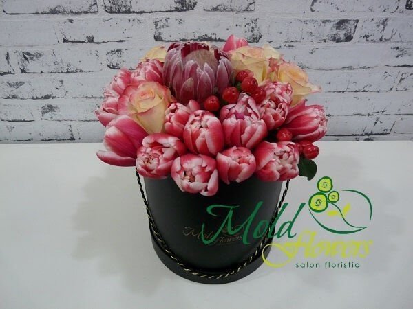 Черная коробка с протеей, красно- белыми тюльпанами, кремовыми розами, красным гиперикумом фото