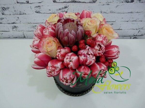 Black box with protea, red and white tulips, cream roses, red hypericum photo