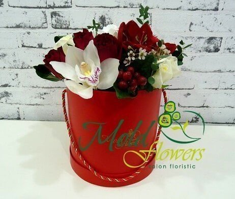 Красная коробка с белой орхидеей, красными розами, гиперикумом, амариллисом и белыми розами фото