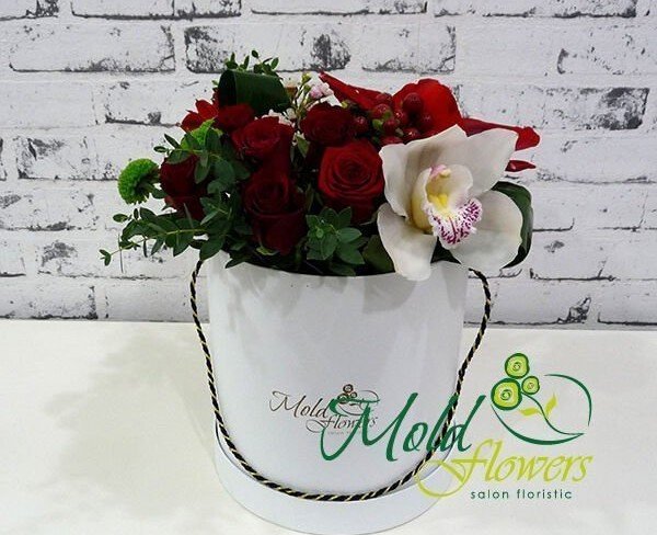 Белая коробка с красными розами, белой орхидеей, красным амариллисом, гиперикумом и зелеными хризантемами фото