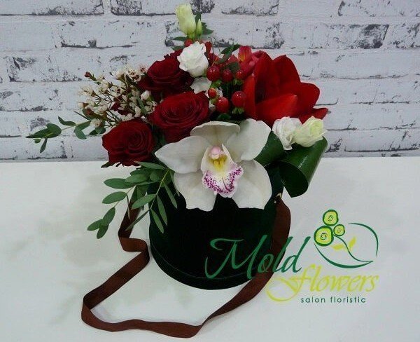 Black box with red amaryllis, white orchid, red and white roses, red hypericum, aspidistra photo