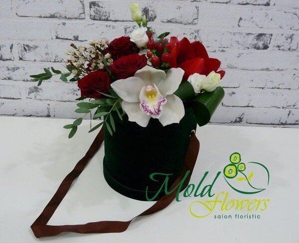 Black box with red amaryllis, white orchid, red and white roses, red hypericum, aspidistra photo