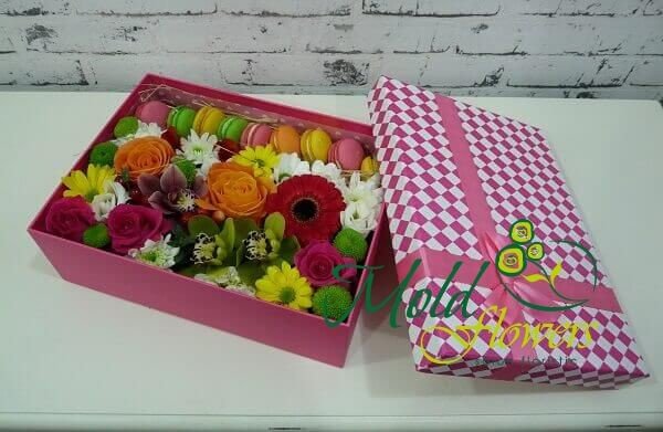 Розовая коробка с макарунами, герберой, розами, эустомами, орхидеями и хризантемами фото