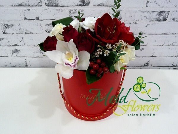 Красная коробка с белой орхидеей, красными розами, гиперикумом, амариллисом и белыми розами фото