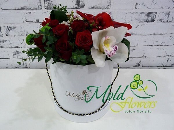 Белая коробка с красными розами, белой орхидеей, красным амариллисом, гиперикумом и зелеными хризантемами фото