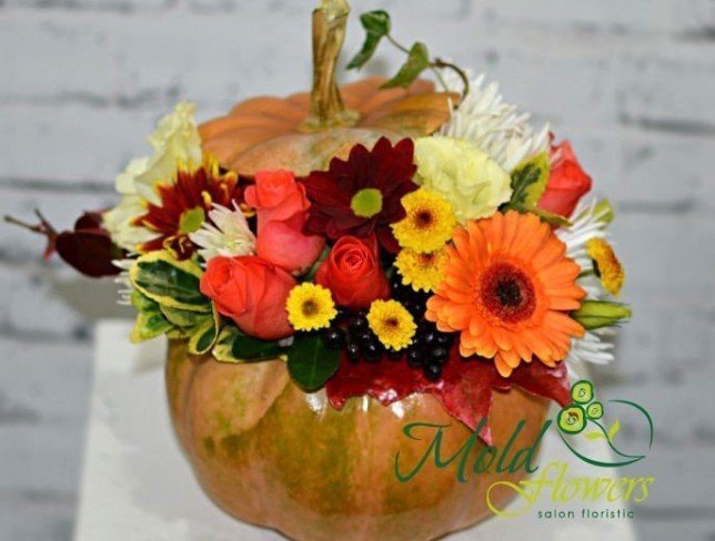Composition in a pumpkin with orange roses, gerbera, white eustoma, burgundy, yellow and white chrysanthemum photo