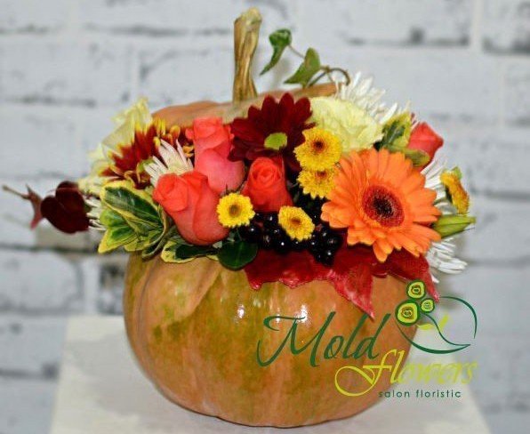 Composition in a pumpkin with orange roses, gerbera, white eustoma, burgundy, yellow and white chrysanthemum photo