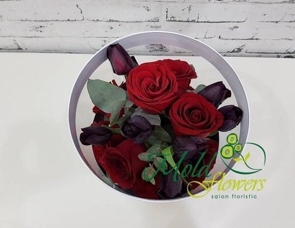 Белая коробка- аквариум с красными розами, чёрными тюльпанами и эвкалиптом фото