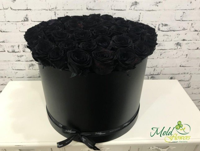 51 trandafiri negri în cutie (la comanda, 10 zile) foto