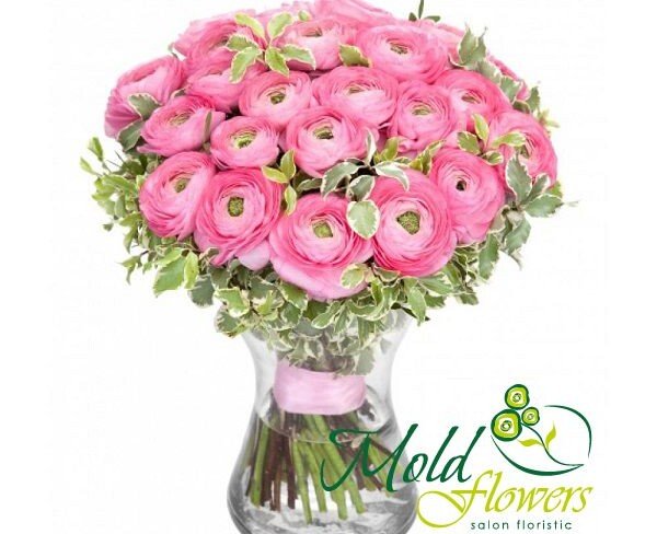 Pink Ranunculus (on order, 10 days) photo