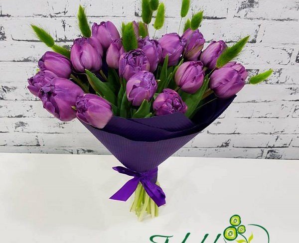 Bouquet of purple peony tulips, green spikelets in purple paper photo