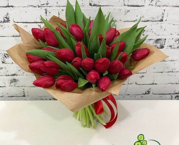 Bouquet of red tulips photo