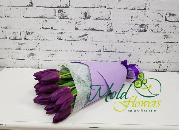 Букет из фиолетовых тюльпанов в белой и фиолетовой обертке  фото