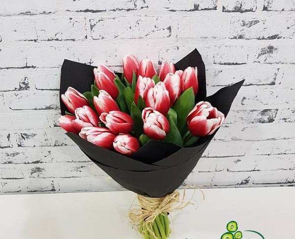 Bouquet in black paper with red and white tulips photo