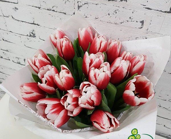 Букет из красно-белых тюльпанов в белой бумаге с надписями фото