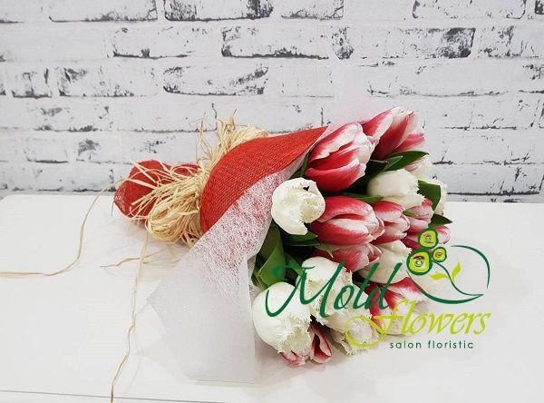 Bouquet of white tulips, white and red tulips in white and red wrapping photo