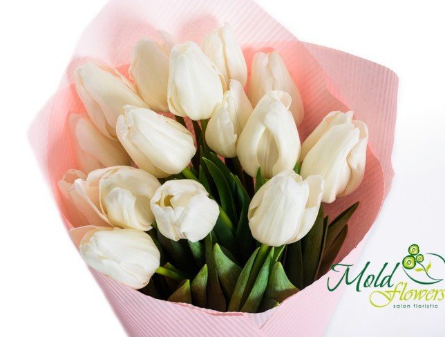 Bouquet of white tulips in pink paper photo
