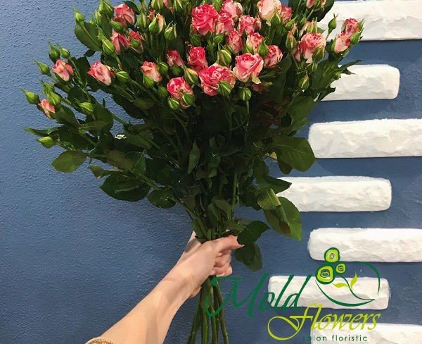 Trandafir de tufă alb-roz (la comanda, 10 zile) foto