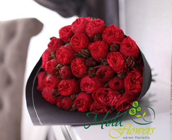 Роза красная кустовая "Дэвид Остин" Фото