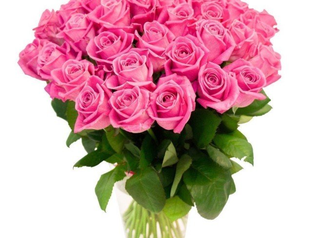 51 Trandafiri roz 50-60 cm foto