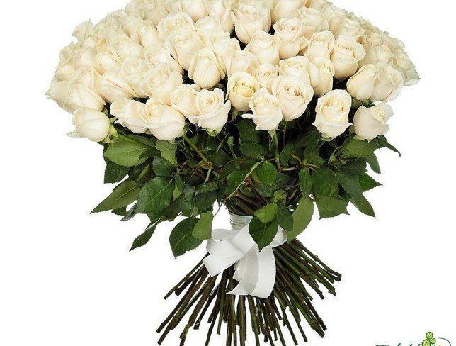 101 Белая роза голландская премиум 80-90 см Фото