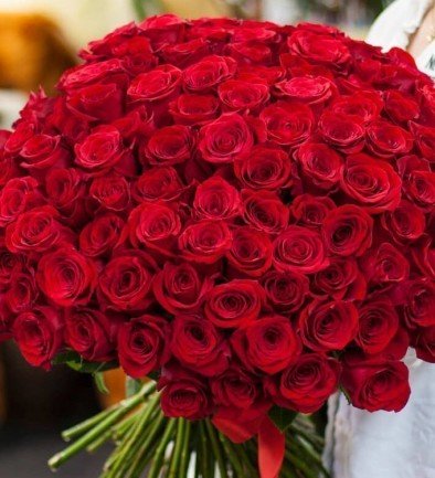 101 Красная роза голландская премиум 80-90 см (под заказ, 10 дней) Фото 394x433