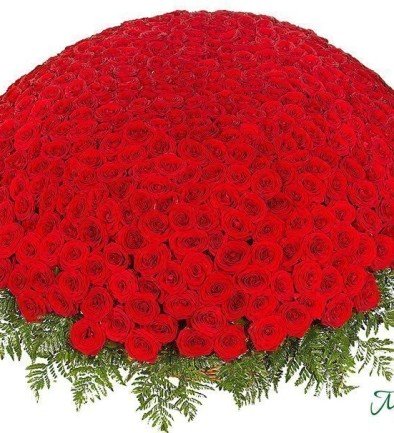 1001 Trandafiri roșii 40 cm (la comanda, 3 zile) foto 394x433