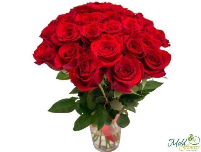 25 Trandafiri roșii 50-60 cm foto