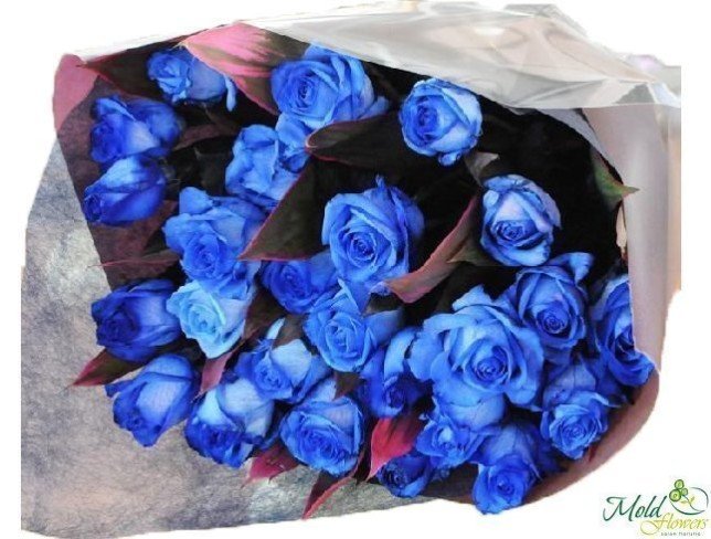 Роза синяя 40-50 см (под заказ, 3 дня) Фото