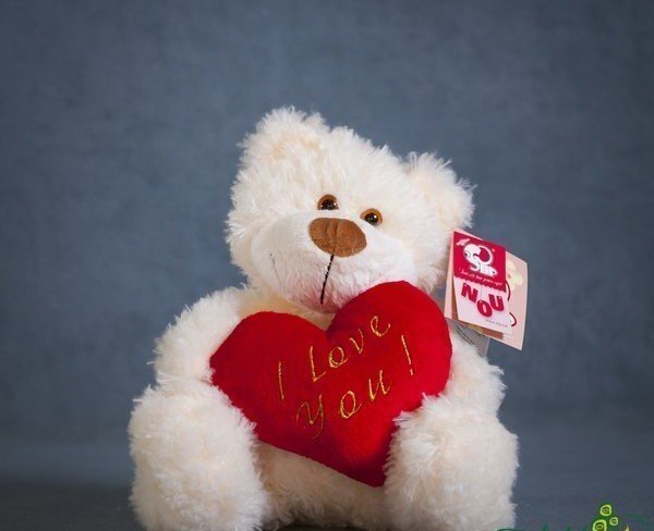 Bear Max with Heart, Height: 30 cm photo