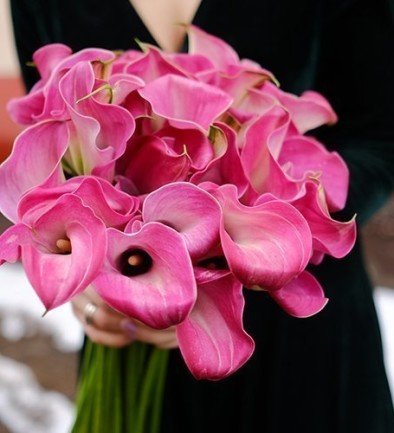 Pink Calla Lily (made to order, 10 days) photo 394x433
